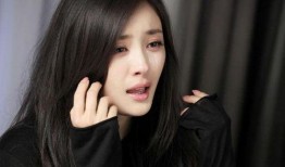 娱乐爆料 白鹿视频,娱乐圈幕后故事大揭秘